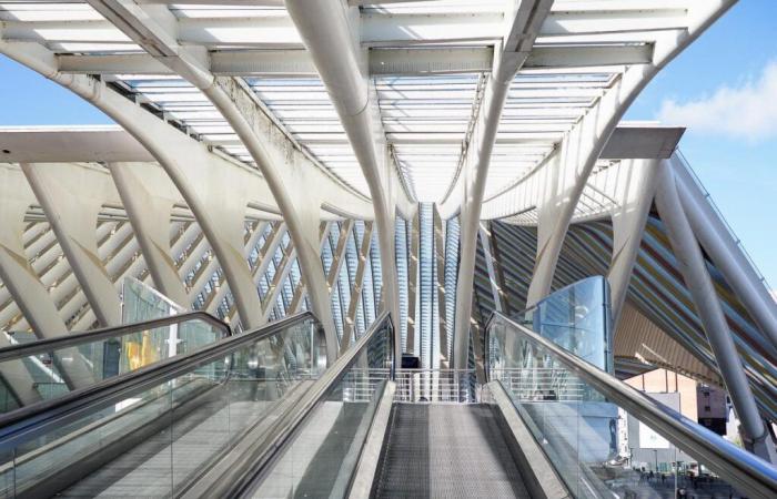 Troppe scale mobili e nastri trasportatori alla stazione di Guillemins #interruzione