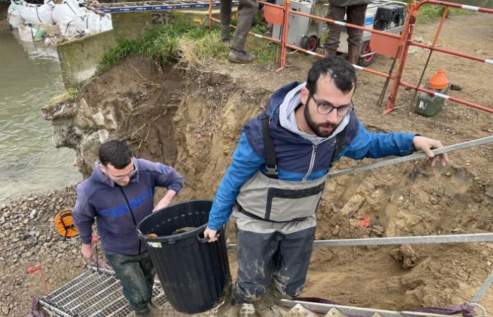 La pesca elettrica ha salvato 143 pesci intrappolati tra due cassoni nel canale Robine a Narbonne