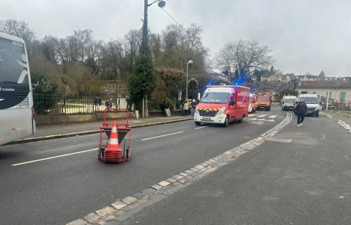 dodici scolari e due automobilisti leggermente feriti