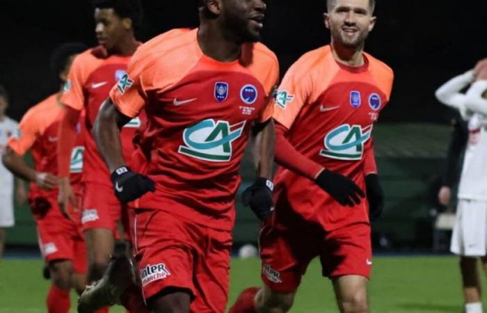 Calcio in diretta. Coupe de France (16a finale): FR Haguenau