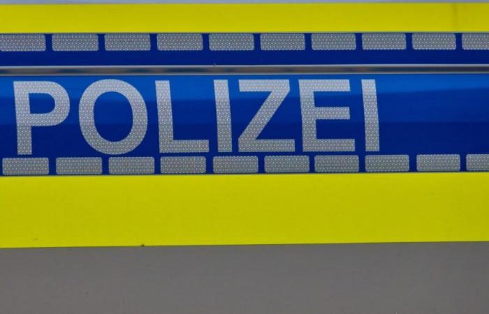 In Germania, un attacco con coltello in un parco provoca due morti, tra cui un bambino di 2 anni