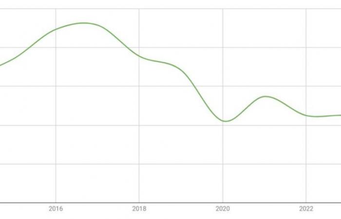 Calo delle vendite globali nel 2024 del marchio numero 1 di Stellantis, la nostra analisi dei principali paesi