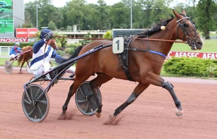 La felice Danica si sta divertendo meravigliosamente in Riviera