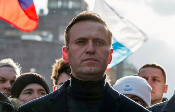 Gli eterni rimpianti di Olga Mikhaïlova, avvocato di Alexeï Navalny