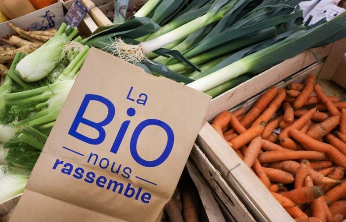 i produttori sono preoccupati per l’annuncio dell’abolizione dell’Agence Bio