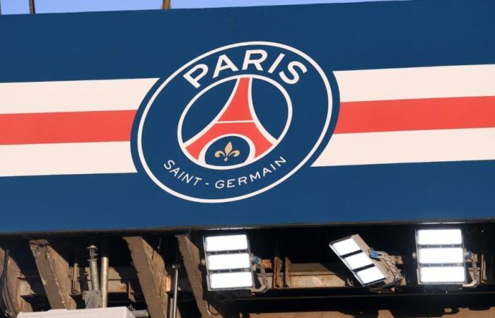 Ris-Orangis è ufficialmente candidato a ospitare il futuro stadio dei campioni di Francia