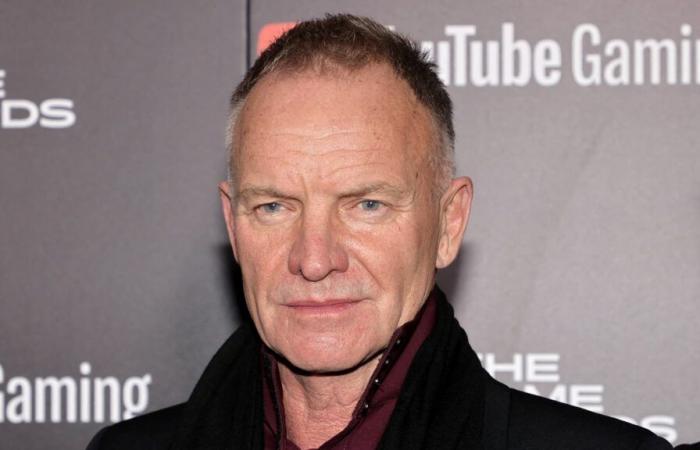 Sting rinvia concerti e annulla esibizioni “su consiglio del suo medico”