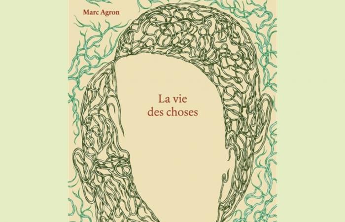 Marc Agron, vincitore del premio del libro Città di Losanna 2025