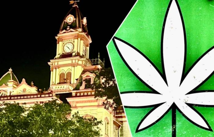 I sostenitori della cannabis si scontrano con il consiglio comunale di Lockhart, pianificano una protesta per la pizza contro l’ordinanza sulla marijuana