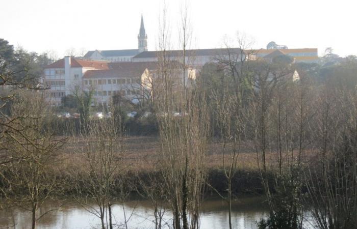 Quale futuro per questo comune dei vigneti di Nantes che ha registrato i maggiori progressi in termini di abitanti?