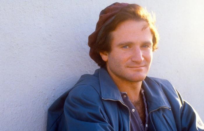 Cosa sappiamo veramente della carriera di Robin Williams?