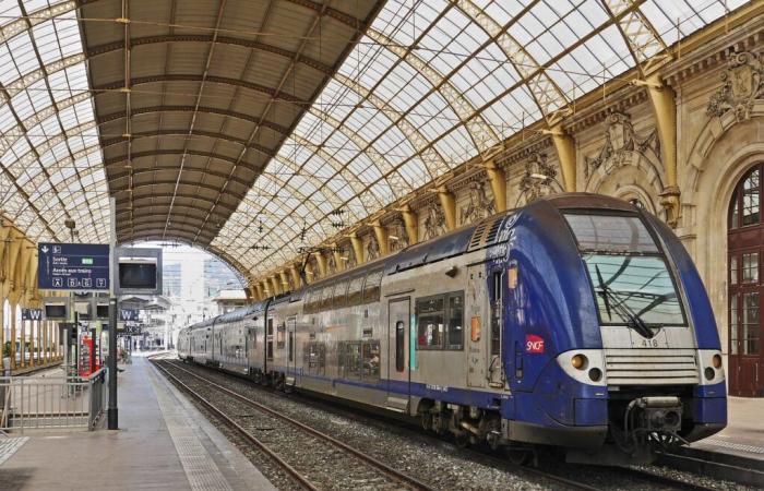 La SNCF risponde alle critiche sui prezzi dei biglietti ferroviari