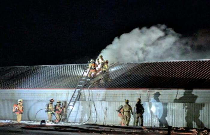 Un incendio in un porcile a Saint-Simon