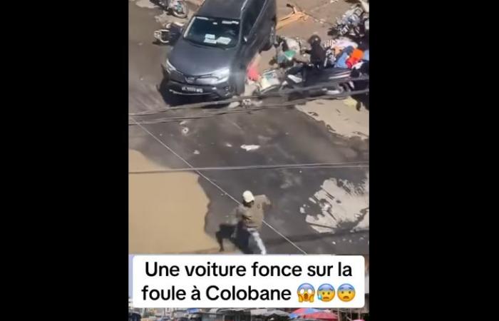 Un pilota si precipita sulla folla di Coloban e semina il panico (video)