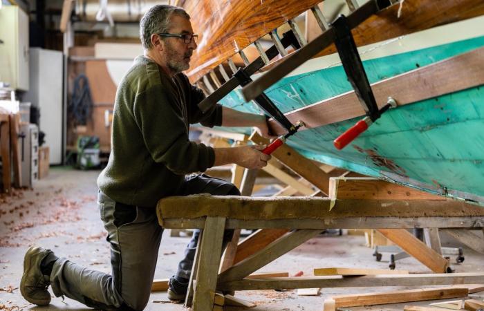 Un libro dedicato alle professioni artistiche in Svizzera, Ginevra inclusa