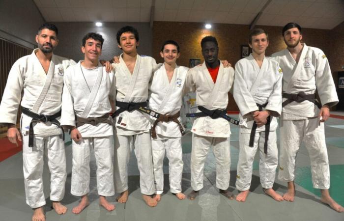 Questi giovani judoka della Gironda vincono medaglie dipartimentali