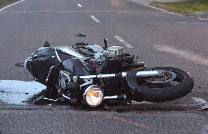 Un motociclista investe un animale su una strada della Manica, finisce in ospedale