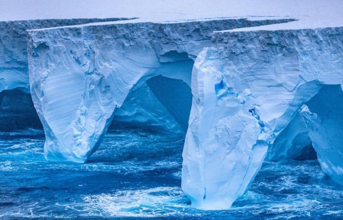 Il più grande iceberg del mondo A23A si sposta verso l’isola ricca di pinguini