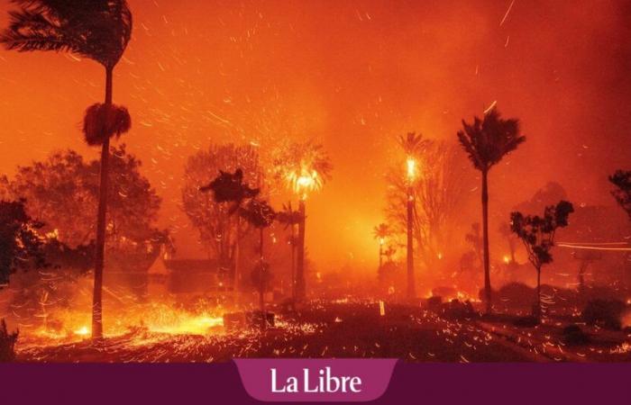 Nelle librerie virtuali si moltiplicano le opere scettiche sul clima: “È in corso una guerra culturale”