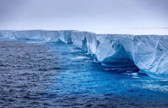 Il più grande iceberg del mondo A23A si sposta verso l’isola ricca di pinguini