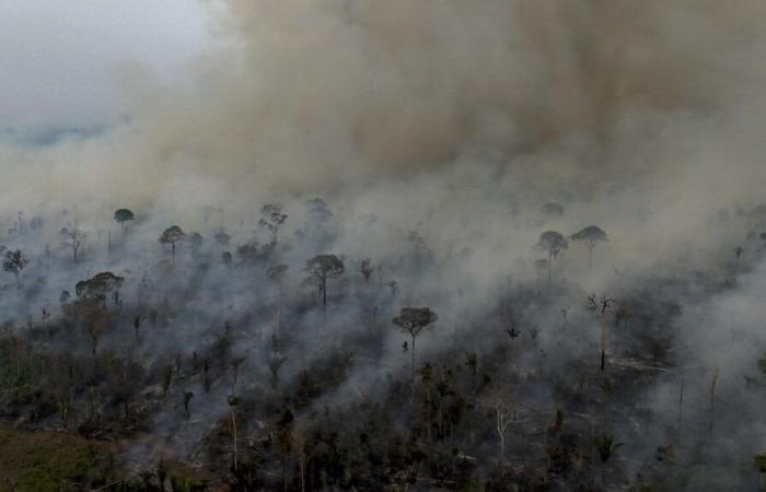 MAPPA. Immaginate lo scoppio degli incendi boschivi in ​​Brasile, pochi mesi prima della COP30 in Amazzonia