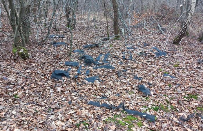 Tonnellate di plastica inquinano le foreste degli Yvelines