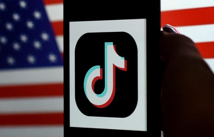 negli Stati Uniti gli iPhone con TikTok vengono venduti a caro prezzo