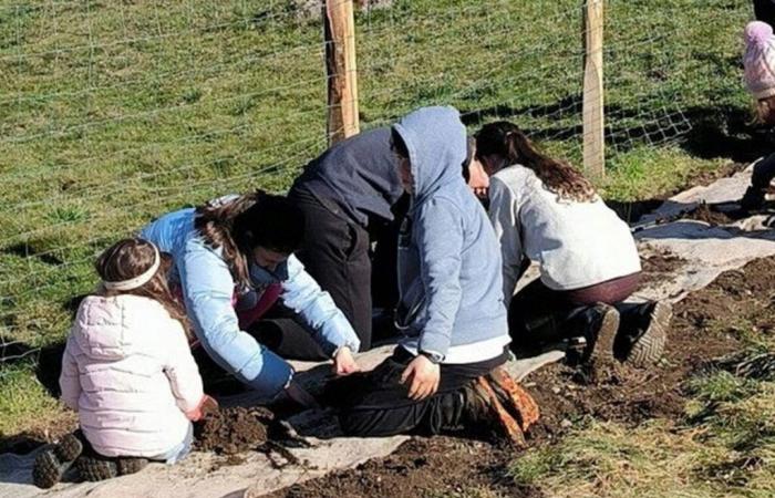 I bambini seminano il futuro piantando alberi – Tarn et Garonne