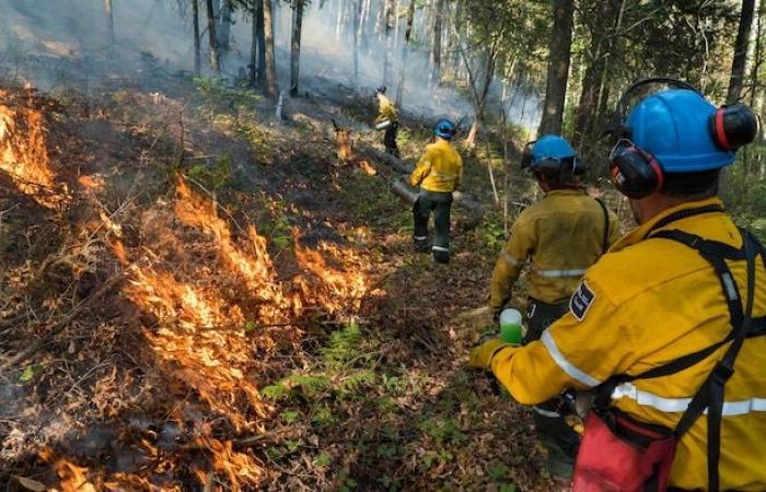 Il Parco Nazionale La Mauricie a rischio incendio in futuro