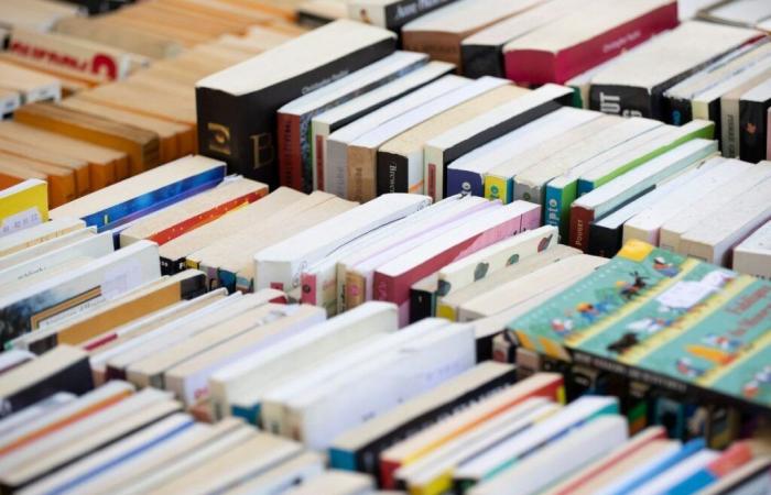 Quali autori francofoni hanno venduto più libri nel 2024? Ecco i primi 3!