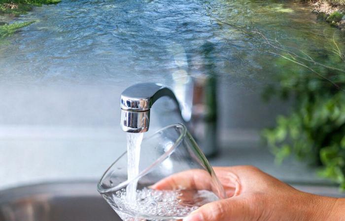 Acqua potabile – Contaminazione massiccia da PFAS – Indagine