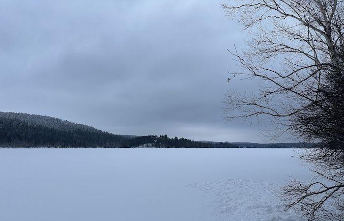 Un progetto immobiliare su un terreno che costeggia un lago suscita indignazione