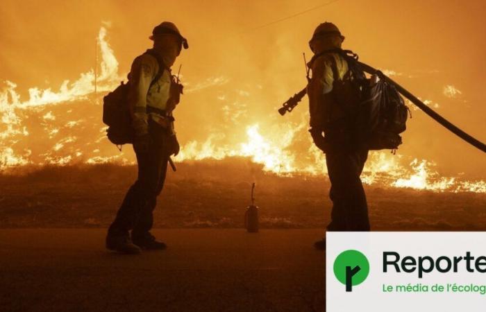 Vicino a Los Angeles, un nuovo incendio sta progredendo rapidamente – Reporterre