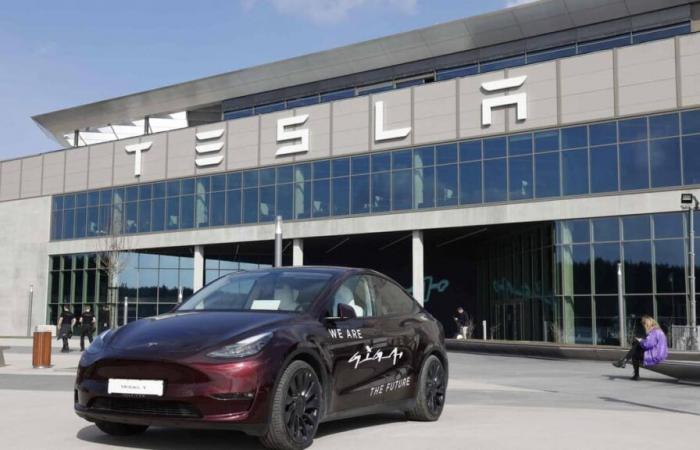 Sul video | Il controverso saluto di Musk proiettato sulla sua fabbrica di Tesla in Germania