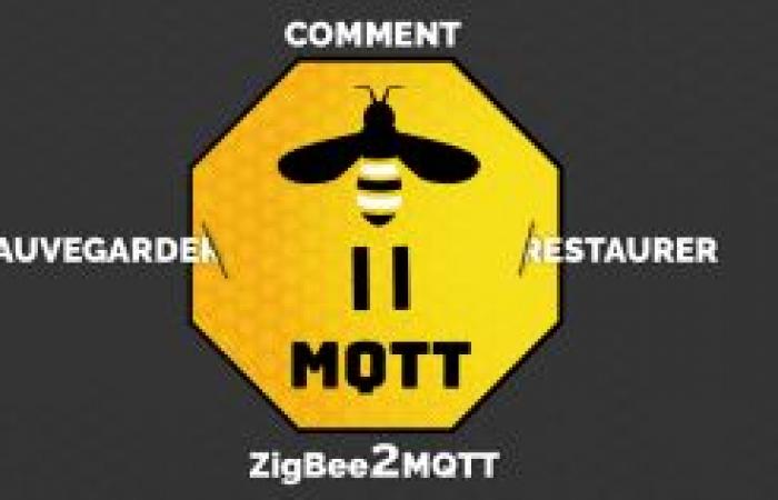 Aggiornamento a Zigbee2MQTT 2.0.0: suggerimenti e avvisi