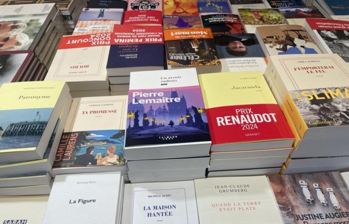 In segno di resistenza alla sovrapproduzione letteraria, i librai parigini bloccano le nuove uscite