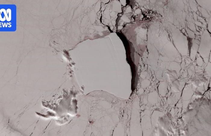 Il più grande iceberg del mondo A23A si sposta verso l’isola ricca di pinguini