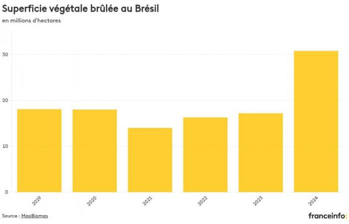 MAPPA. Immaginate lo scoppio degli incendi boschivi in ​​Brasile, pochi mesi prima della COP30 in Amazzonia