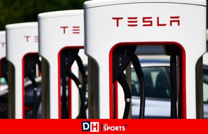 Perché il freno imposto da Donald Trump alle auto elettriche è in realtà un vantaggio per Tesla ed Elon Musk