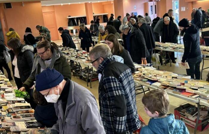 Questa domenica una borsa di studio per gli amanti dei libri