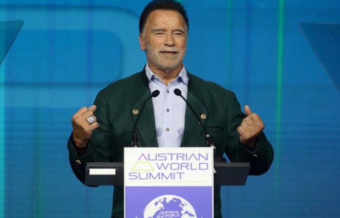 Arnold Schwarzenegger ha donato 1 milione di dollari per aiutare le vittime degli incendi di Los Angeles