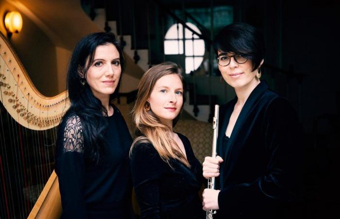 Il Trio Haydée in concerto al Museo d’Orsay