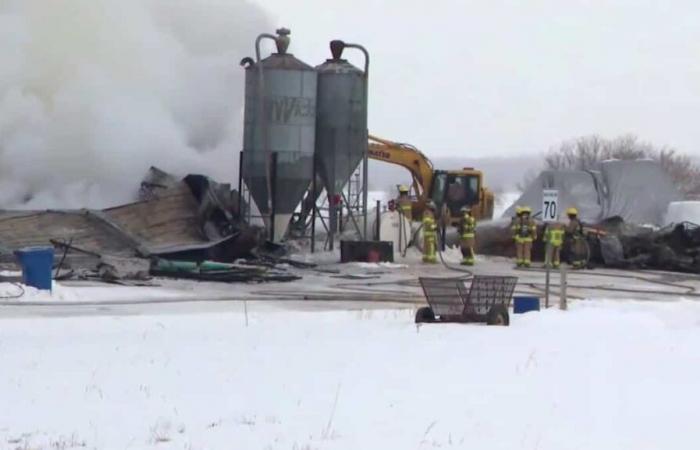 NELLE IMMAGINI | Incendio in una fattoria a Bécancour