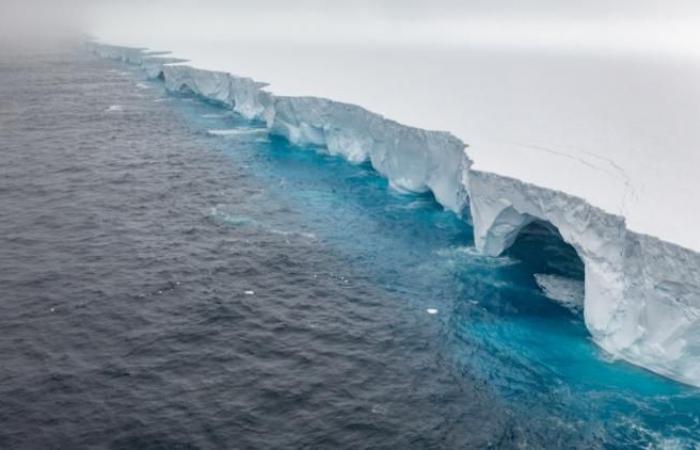 L’iceberg più grande del mondo si sposta verso l’isola britannica e minaccia i pinguini imperatori