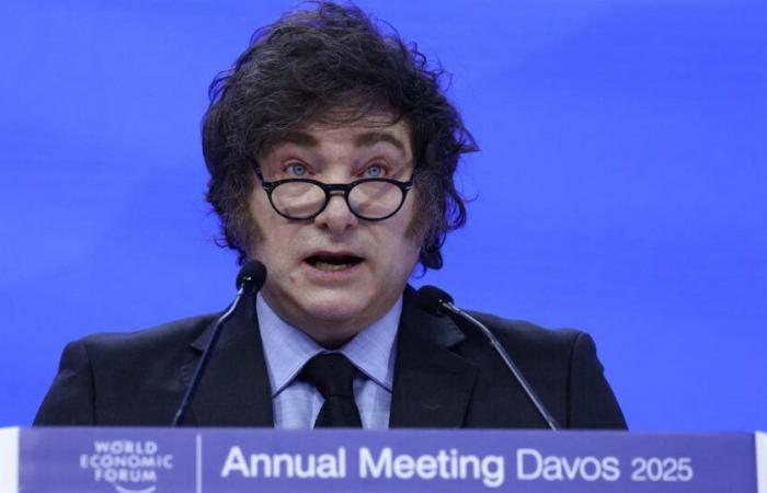 al Forum di Davos, Javier Milei tira fuori il solfato contro il “wokismo”