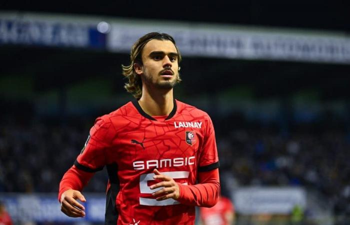 Il Nizza perde molto, Lopez è di nuovo nei guai a Bordeaux, il dossier Meïté (OM) scivola, Jota lascia andare il Rennes!