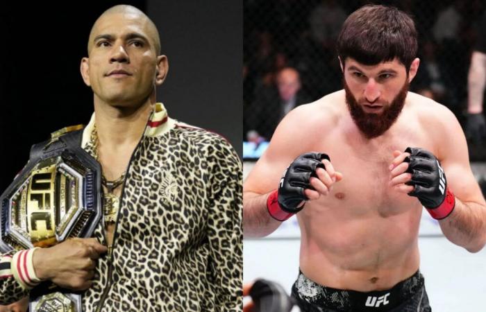 Magomed Ankalaev: l’ex star dell’UFC prevede che lo sciopero della firma di Alex Pereira potrebbe scrivere il Doom di Magomed Ankalaev all’UFC 313: “Non poteva più camminare”