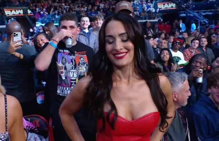 Nikki Bella: Ritorno imminente in WWE?