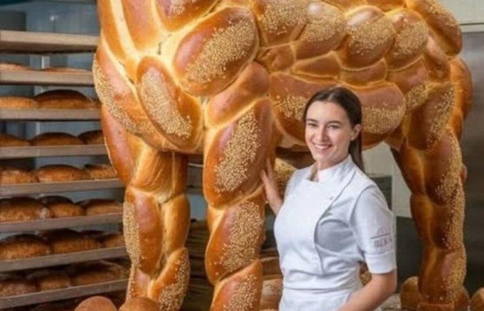 Mark Zuckerberg “adora” il “cavallo Challah” generato dall’intelligenza artificiale su Facebook