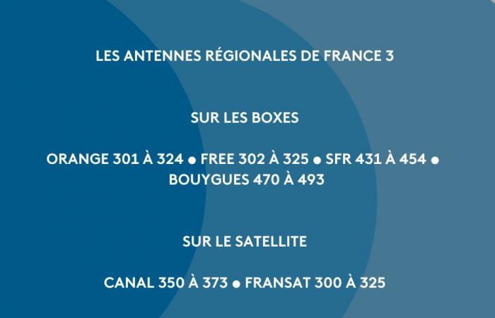 Sfide sportive a febbraio sui canali regionali di France Télévisions